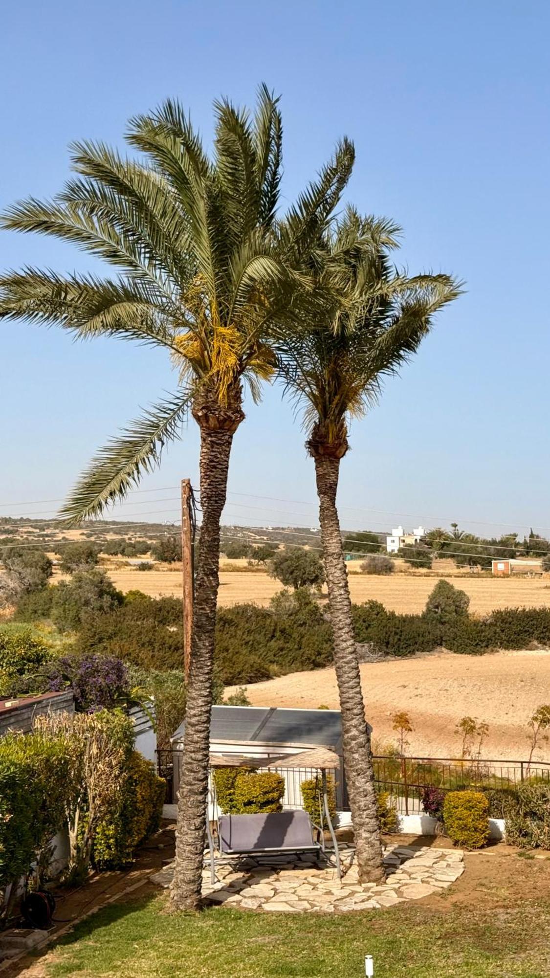 Villa Hera Agios Theodoros Zewnętrze zdjęcie